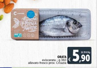 Orata