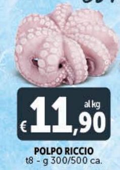 Deco Superstore Polpo riccio offerta