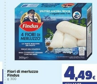 Ok Sigma Findus Filetti di merluzzo offerta