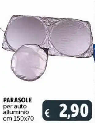 Parasole per auto