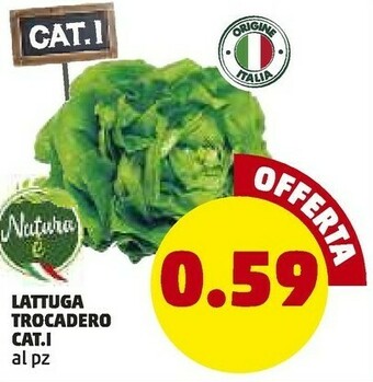 PENNY Lattuga Trocadero offerta