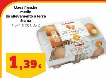 Sigma Uova offerta