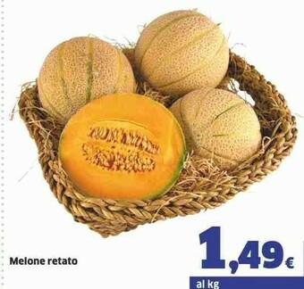 Sigma Melone Retato offerta