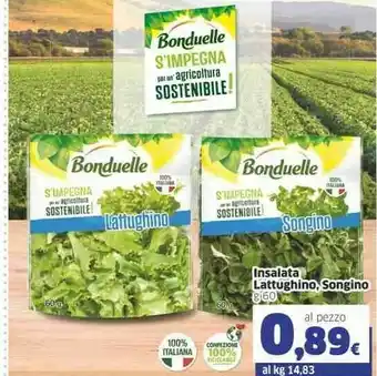 Sigma Bonduelle Insalata Lattughino offerta