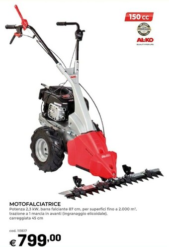 Brico OK Attrezzi da giardino offerta