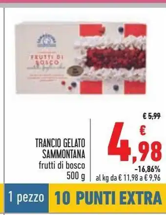 Trancio gelato sammontana