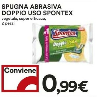 Spugne