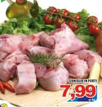 Coniglio in Parti