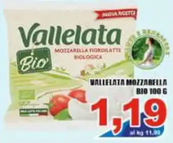 Vallelata Mozzarella Bio 100 g