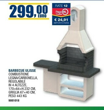Self Barbecue a carbonella offerta