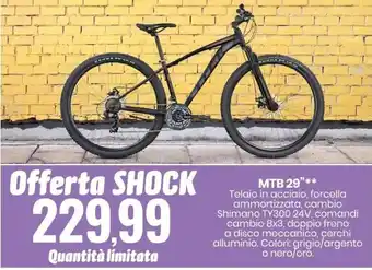 Eurospin MTB 29" offerta