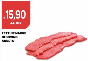 Ekom Fettine Magre di Bovino Adulto offerta