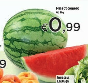 Crai Lattuga offerta