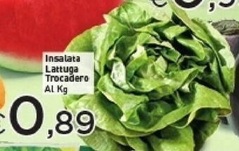 Crai Lattuga offerta
