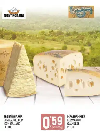 Trentingrana Formaggio DOP 100% Italiano e Maasdammer Formaggio Olandese