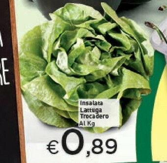 Crai Lattuga offerta