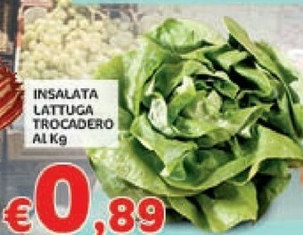 Crai Lattuga offerta