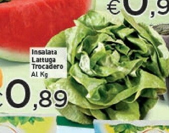 Crai Lattuga offerta