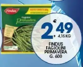 Ok Sigma Findus Surgelati offerta