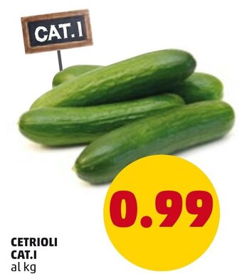 PENNY Cetrioli Cat.I offerta