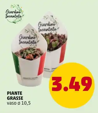 PENNY Piante Grasse vaso ø 10,5 offerta
