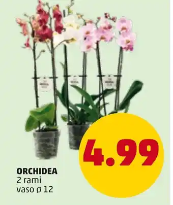 Orchidea 2 rami vaso ø 12