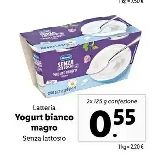 Yogurt Bianco Magro Senza Lattosio 1 Kg