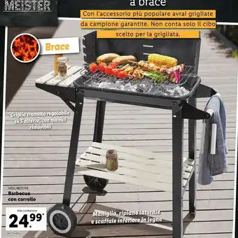 Lidl Grill Meister Barbecue con Carello offerta