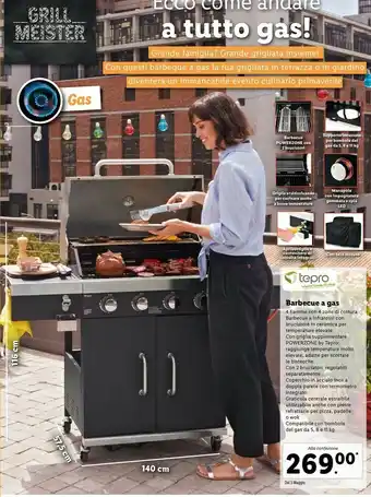 Lidl Tepro Barbecue A Gas offerta