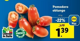 Lidl Pomodoro Oblungo offerta