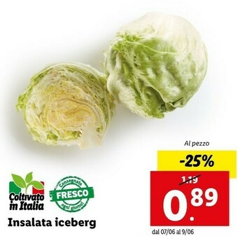 Lidl Insalata Iceberg offerta