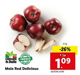 Lidl Mele Red Delicious offerta