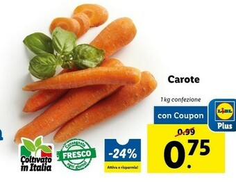 Lidl Carote offerta