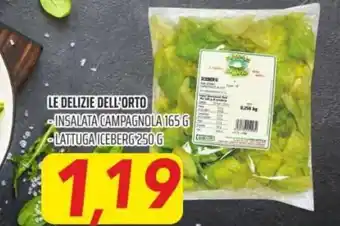 Le Delizie dell'orto insalata campagnola 165 g - lattuga iceberg 250 g
