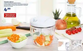 In'S Mercato Tritatutto 1000ml offerta