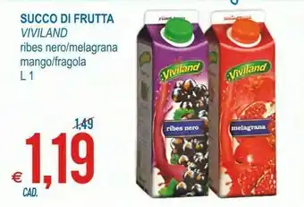 MD Discount Viviland Succo Di Frutta Ribes Nero/melagrana Mango/fragola offerta