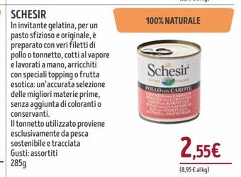 Schesir