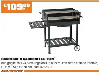 OBI BARBECUE A CARBONELLA “BEN ” offerta