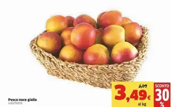 Ok Sigma Pesche offerta
