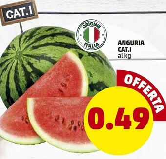 PENNY Anguria offerta