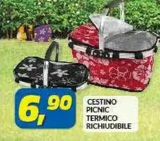 Risparmio Casa Cestino Picnic Termico Richiudibile offerta