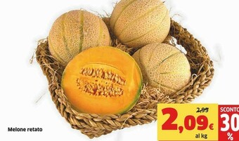 Sigma Melone offerta