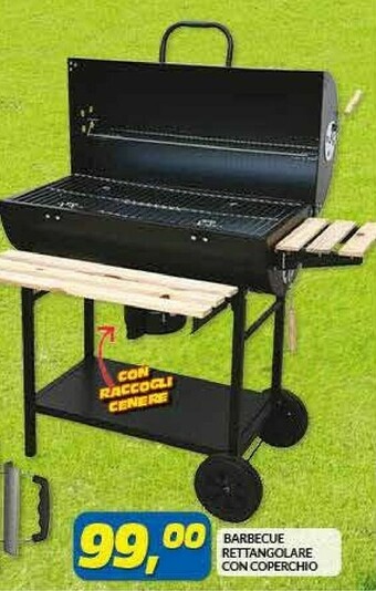 Risparmio Casa Barbecue Rettangolare Con Coperchio offerta