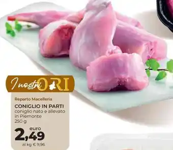 Spazio Conad Coniglio in Parti 250 g offerta