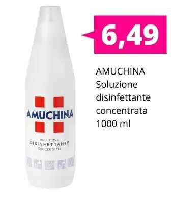 Acqua & Sapone Amuchina Soluzione Disinfettante Concentrata offerta