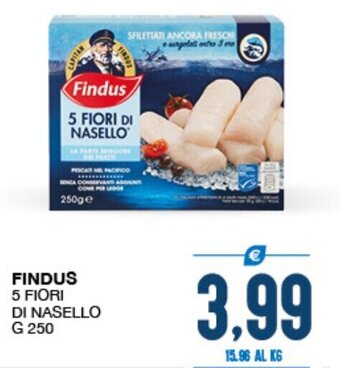 SeBón Supermercati Findus 5 Fiori di Nasello g 250 offerta