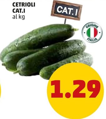 PENNY Cetrioli Cat.I offerta