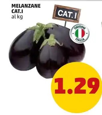 PENNY Melanzane Cat.I offerta