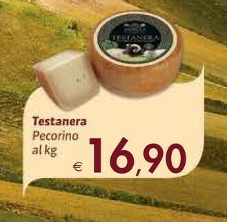 Bennet Testanera Pecorino offerta