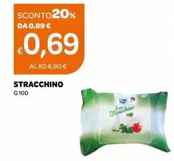 Ekom Stracchino g 100 offerta